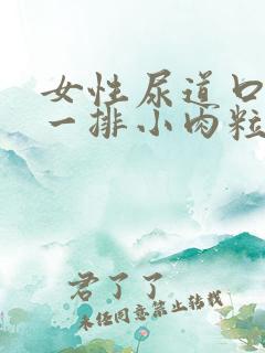 女性尿道口长了一排小肉粒