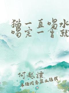 猫一直喝水的 喝完一会就吐