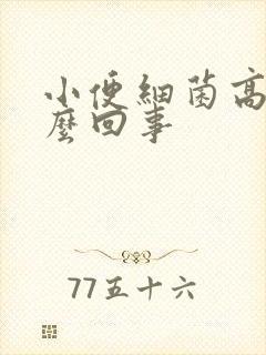 小便细菌高是怎么回事