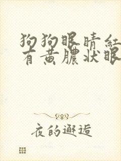 狗狗眼睛红肿眼有黄脓状眼屎