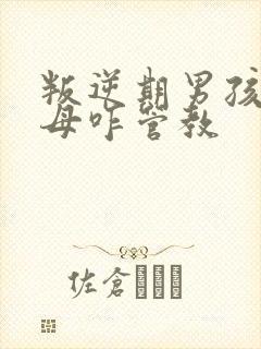 叛逆期男孩子父母咋管教