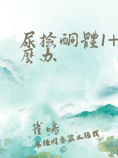 尿检酮体1+怎么办