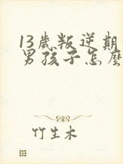 13岁叛逆期的男孩子怎么去引导