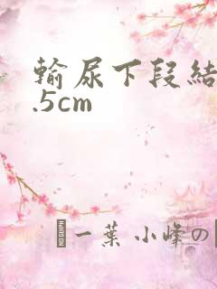 输尿下段结石0.5cm