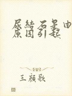 尿结石是由什么原因引起