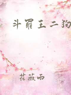 斗罗王二狗