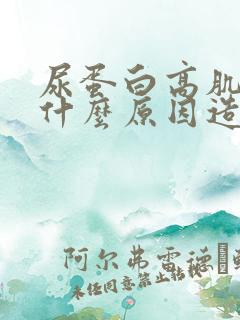 尿蛋白高肌酐是什么原因造成的