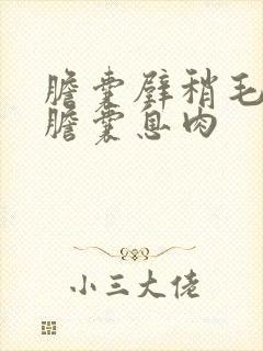 胆囊壁稍毛糙 胆囊息肉