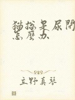 猫总是尿闭反复怎么办