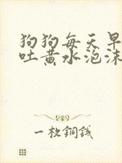 狗狗每天早上呕吐黄水泡沫