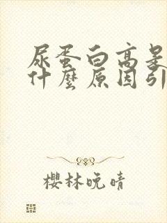 尿蛋白高是由于什么原因引起的