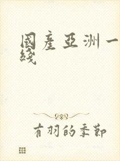 国产亚洲一区在线