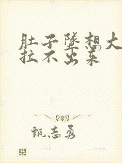 肚子坠想大便但拉不出来