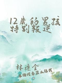 12岁的男孩子特别叛逆
