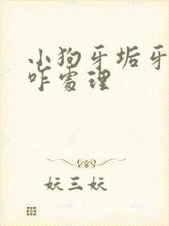 小狗牙垢牙结石咋处理