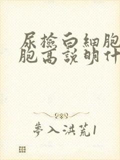 尿检白细胞红细胞高说明什么问题