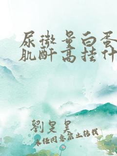 尿微量白蛋白/肌酐高挂什么科