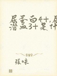 尿蛋白4+,尿潜血3+是什么原因