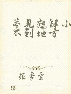 梦见想解小便找不到地方