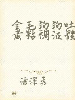 金毛狗狗吐了黄黄粘稠液体不吃东西