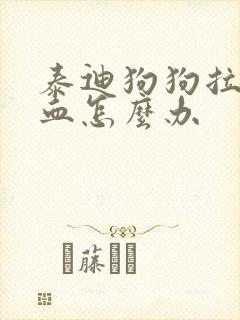 泰迪狗狗拉稀带血怎么办