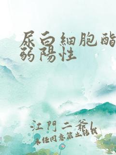 尿白细胞酯酶 弱阳性