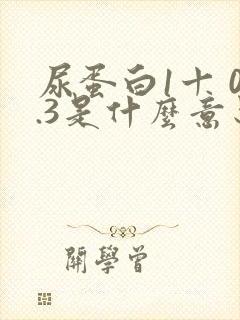 尿蛋白1十 0.3是什么意思