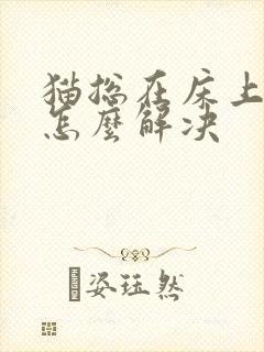 猫总在床上尿是怎么解决