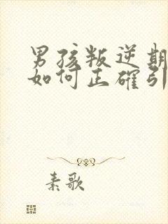 男孩叛逆期厌学如何正确引导