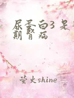 尿蛋白3 是几期肾病