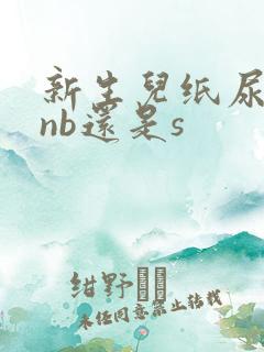新生儿纸尿裤用nb还是s