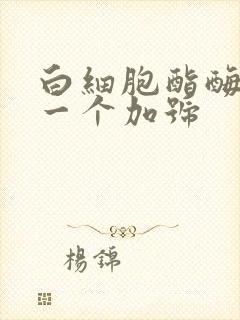 白细胞酯酶阴性一个加号