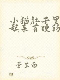 小猫肚子里面摸起来有硬的东西