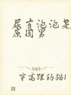 尿有泡泡是什么原因男