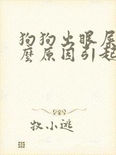 狗狗出眼屎是什么原因引起的