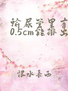 输尿管里有结石0.5cm能排出吗