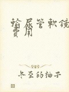 输尿管软镜结石费用