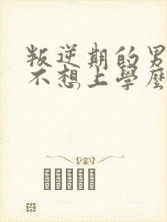 叛逆期的男孩子不想上学么办