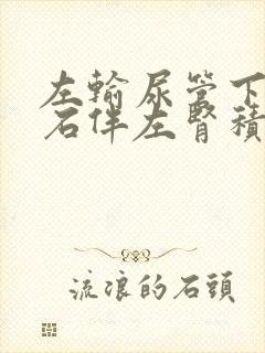 左输尿管下段结石伴左肾积液