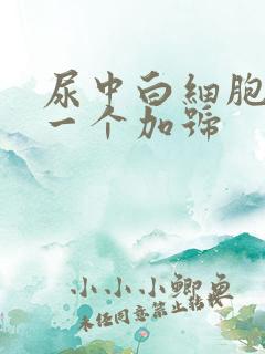 尿中白细胞酯酶一个加号