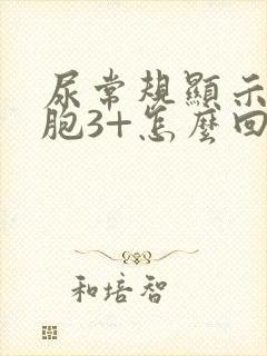 尿常规显示红细胞3+怎么回事