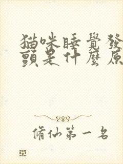 猫咪睡觉发抖打颤是什么原因