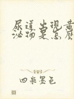 尿道出现黄色分泌物是怎么回事