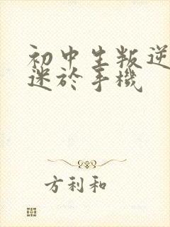 初中生叛逆期沉迷于手机