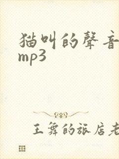 猫叫的声音音效mp3