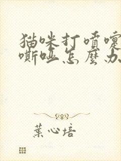 猫咪打喷嚏声音嘶哑怎么办