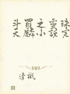 斗罗之灵珠神剑天麟小说完整版下载txt