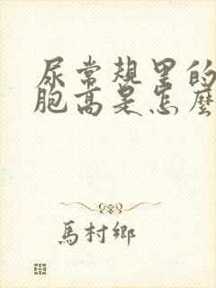 尿常规里的红细胞高是怎么回事