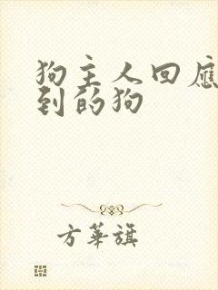 狗主人回应被吓到的狗