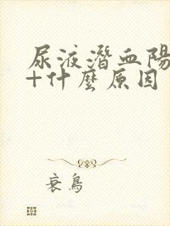 尿液潜血阳性1+什么原因